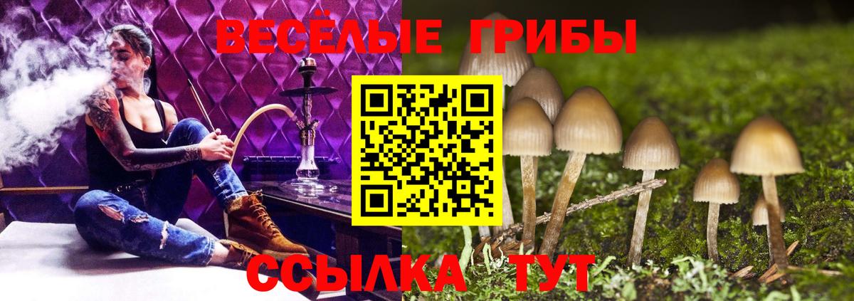 Псилоцибиновые грибы мухоморы  как найти наркотики  Ревда  Вход с VPN 